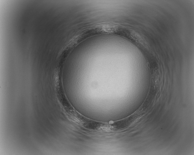 X0000072520595200607290200