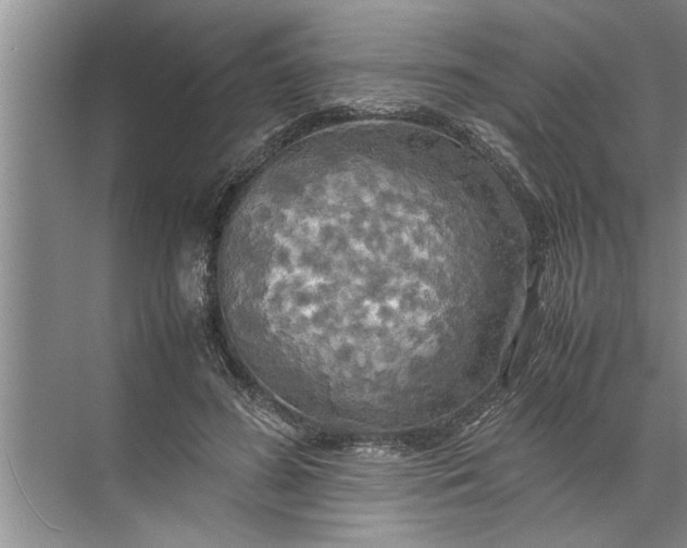 X0000072520596200607290200