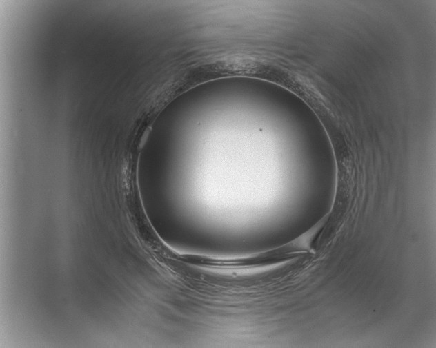 X0000072520597200607290200