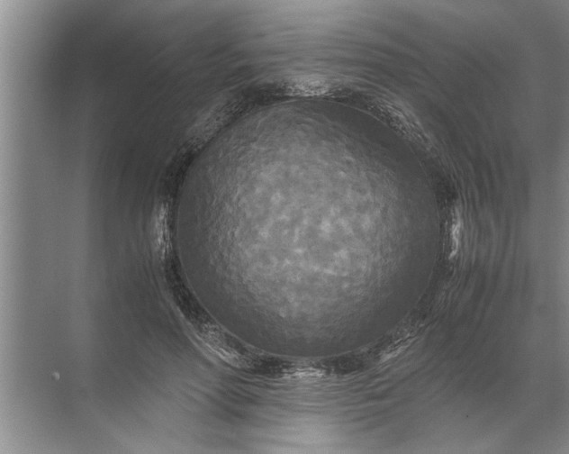 X0000072520598200607290200