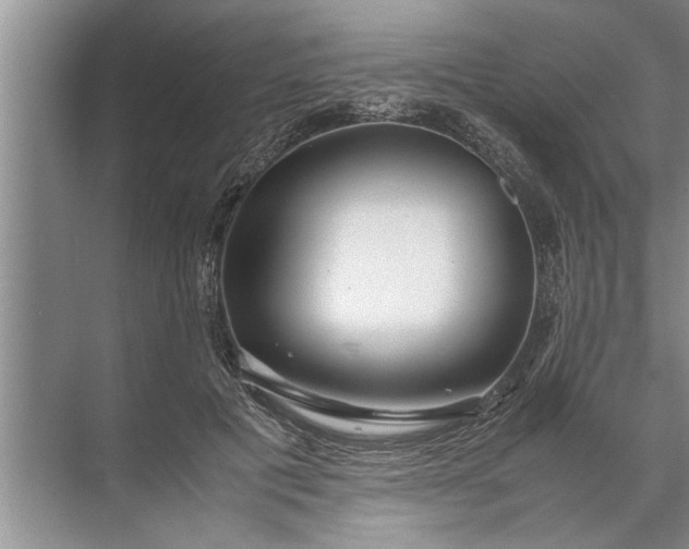 X0000072520601200607290200