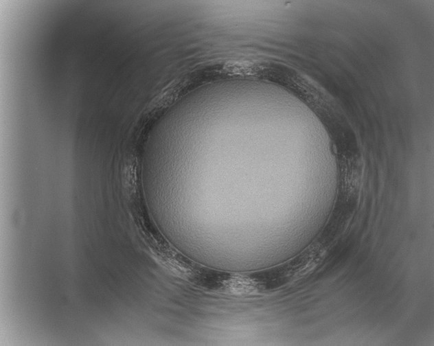 X0000072520603200607290200