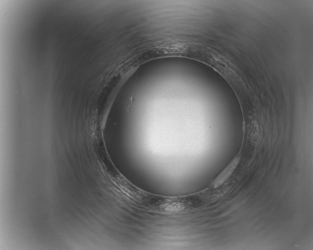 X0000072520604200607290200