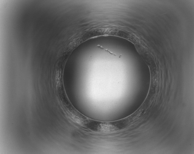 X0000072520605200607290200