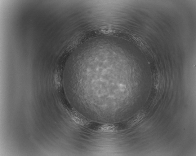 X0000072520606200607290200