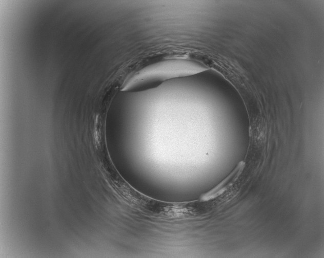 X0000072520607200607290200