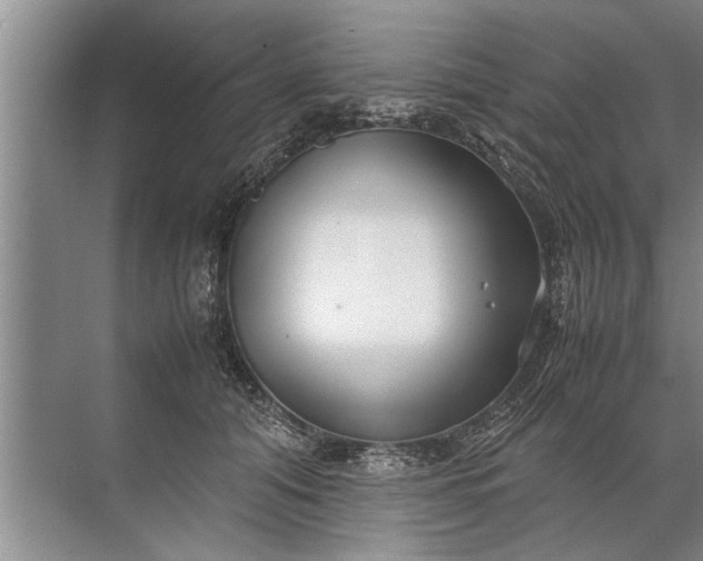 X0000072520608200607290200