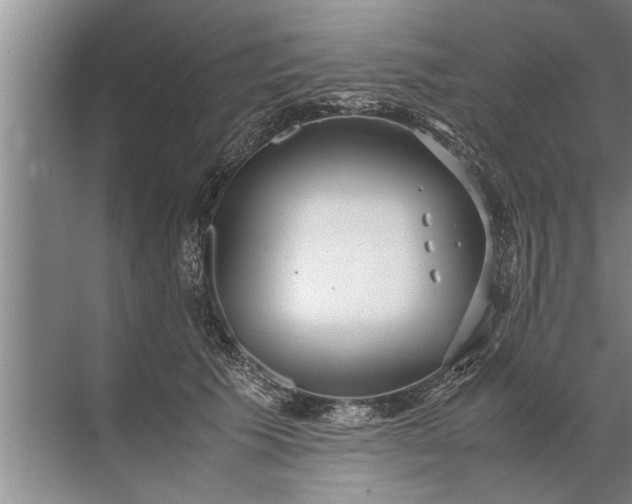 X0000072520609200607290200