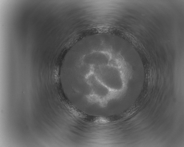 X0000072520610200607290200