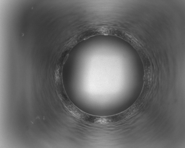 X0000072520611200607290200