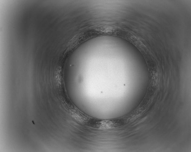 X0000072520612200607290200