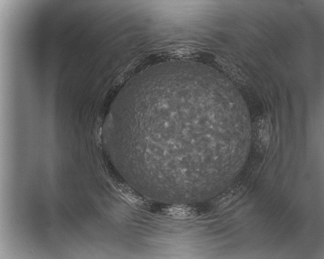 X0000072520615200607290200