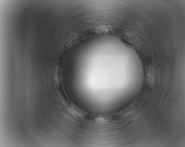 X0000072520616200607290200