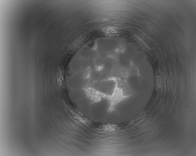 X0000072520618200607290200