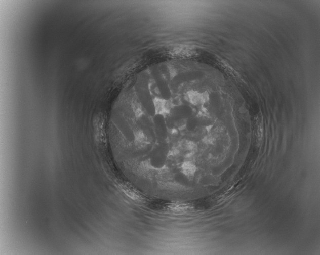 X0000072520619200607290200