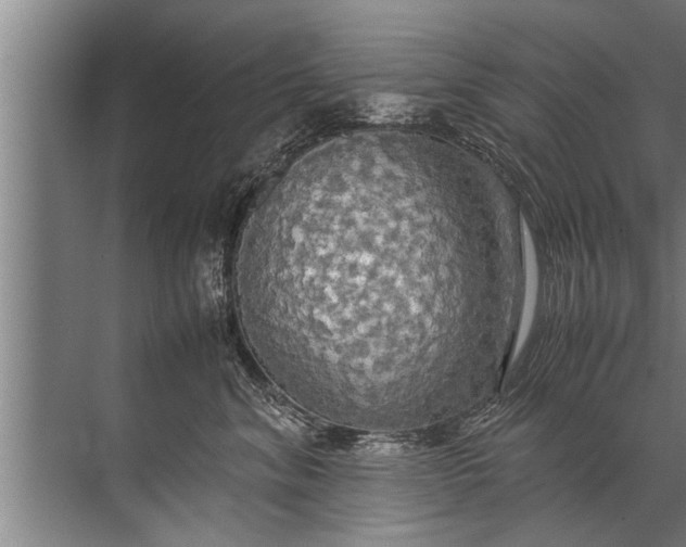 X0000072520620200607290200