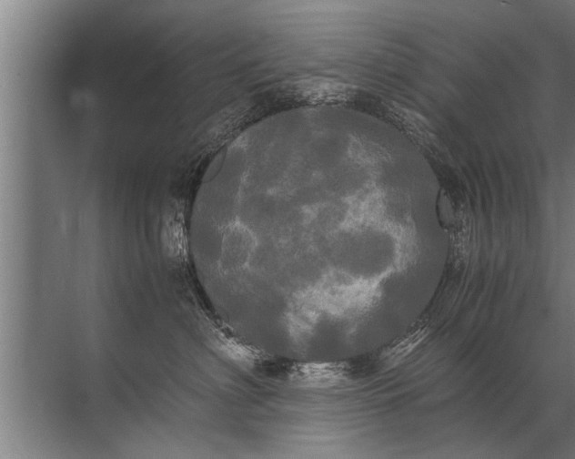 X0000072520622200607290200