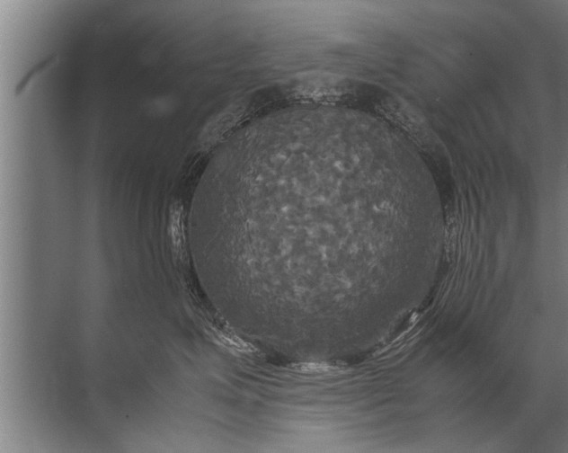 X0000072520623200607290200