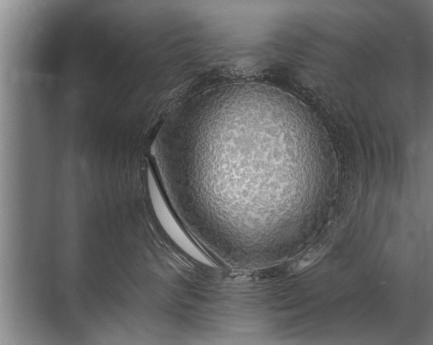 X0000072520624200607290200