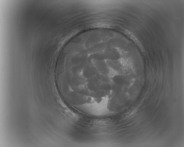 X0000072520625200607290159