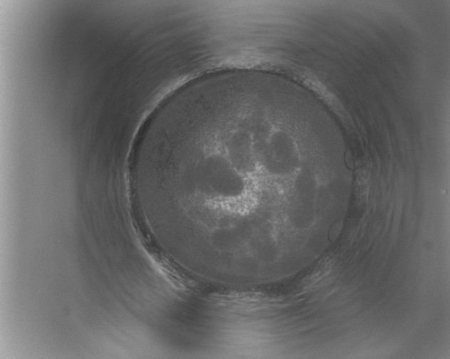 X0000072520626200607290159