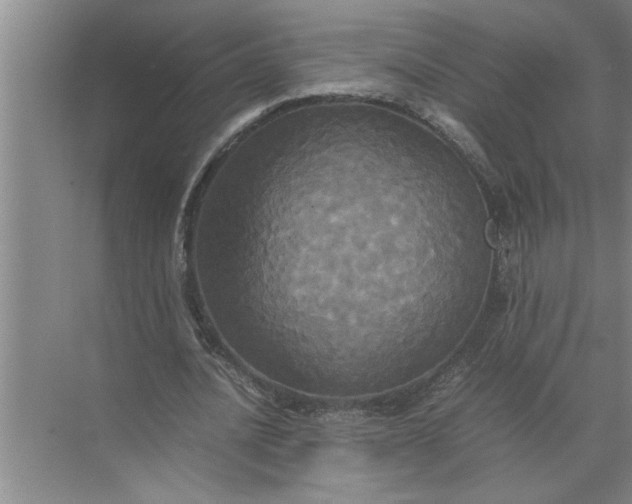 X0000072520628200607290159