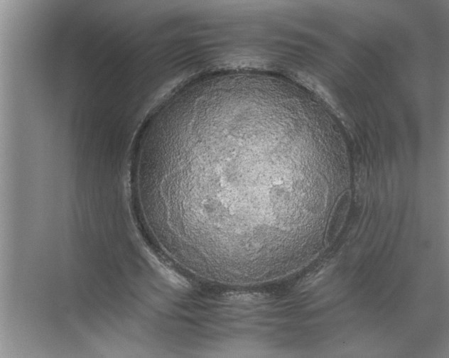 X0000072520629200607290159