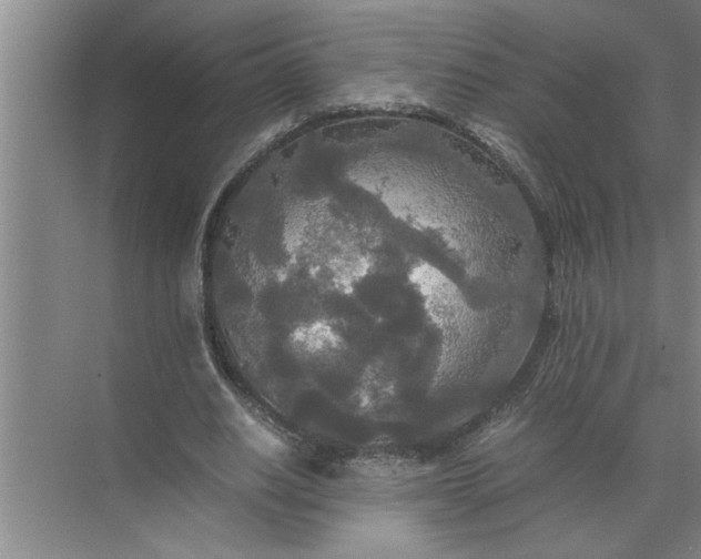 X0000072520630200607290159