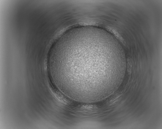 X0000072520631200607290159