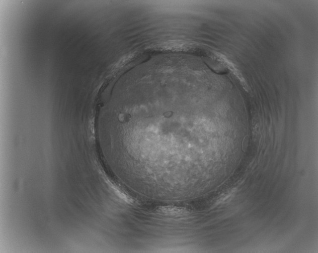 X0000072520633200607290159