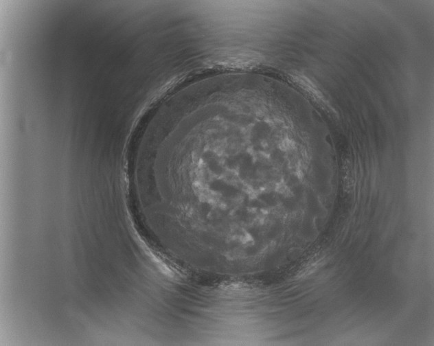 X0000072520634200607290159