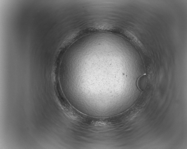 X0000072520635200607290159