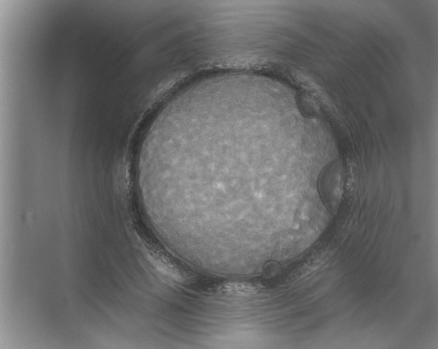 X0000072520636200607290159