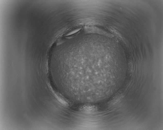 X0000072520638200607290159