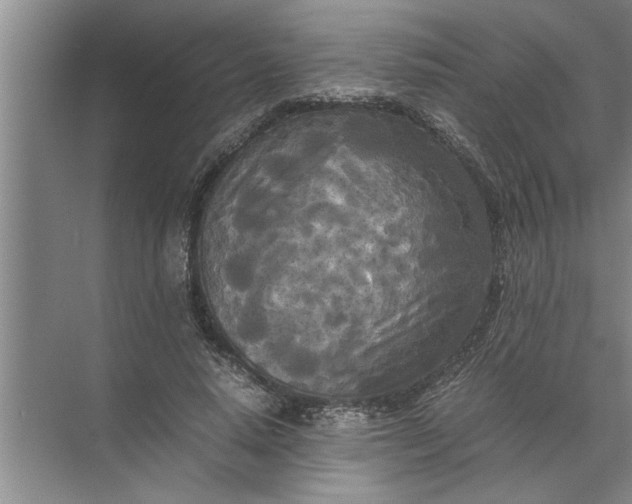 X0000072520640200607290159