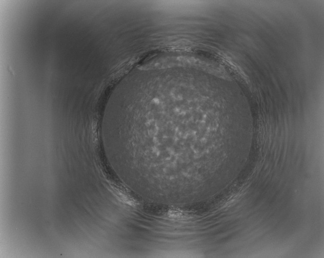 X0000072520641200607290159