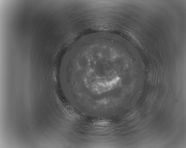 X0000072520643200607290159