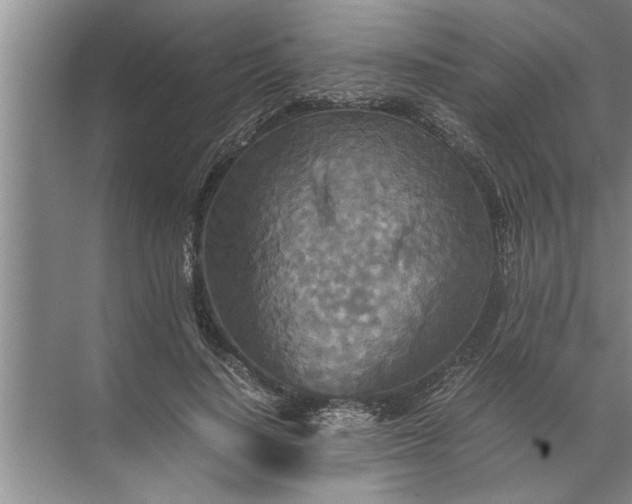 X0000072520644200607290159