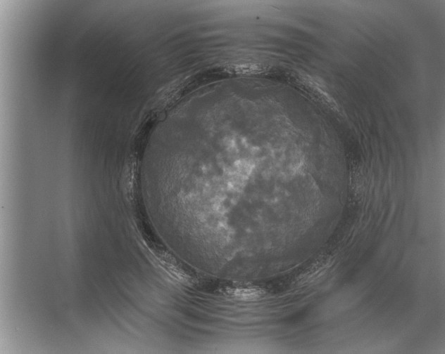 X0000072520645200607290159