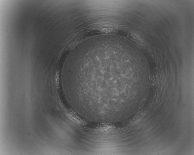 X0000072520646200607290159