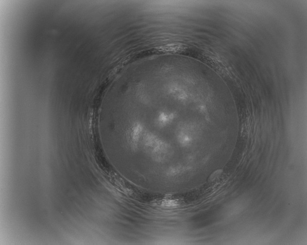 X0000072520647200607290159