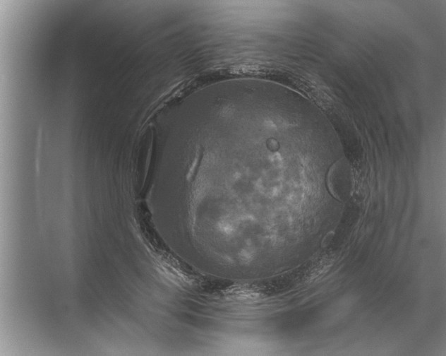 X0000072520648200607290159