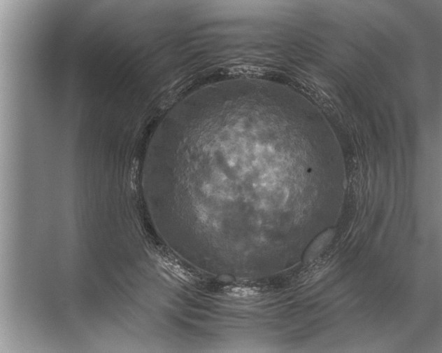 X0000072520649200607290159