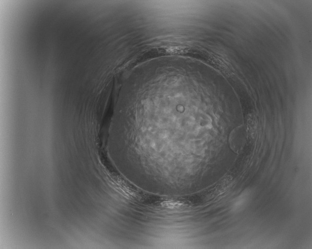 X0000072520650200607290159