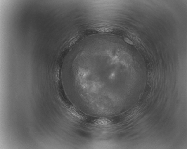 X0000072520652200607290159