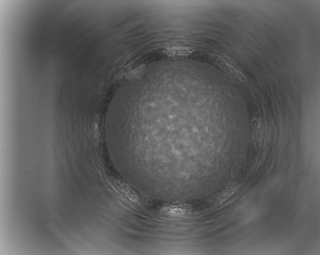 X0000072520655200607290159