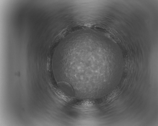 X0000072520656200607290159