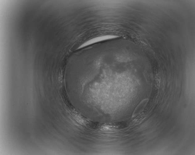 X0000072520657200607290159