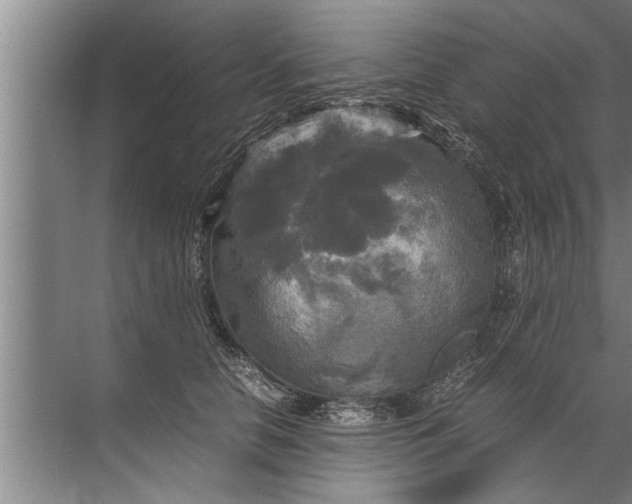 X0000072520658200607290159