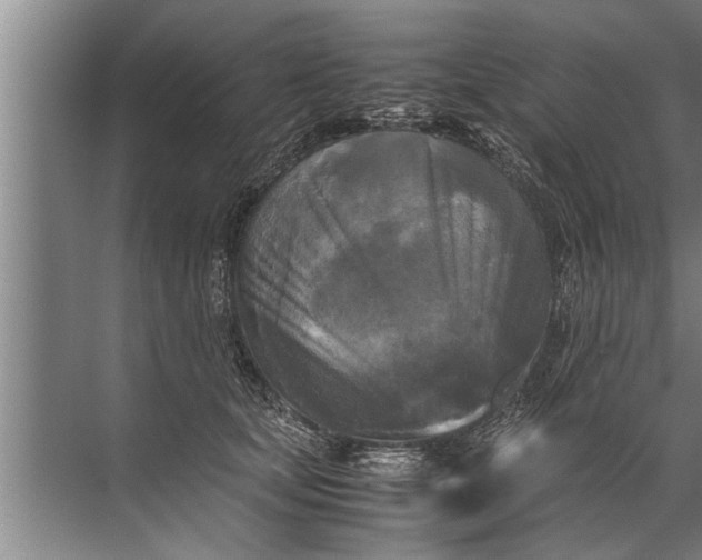 X0000072520659200607290159